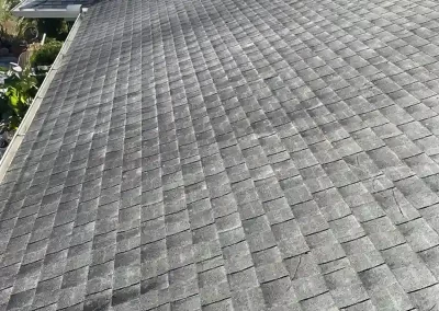 House Pressure Washing